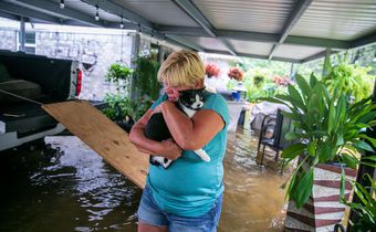 Devastation and Shock as Waters Drain Away