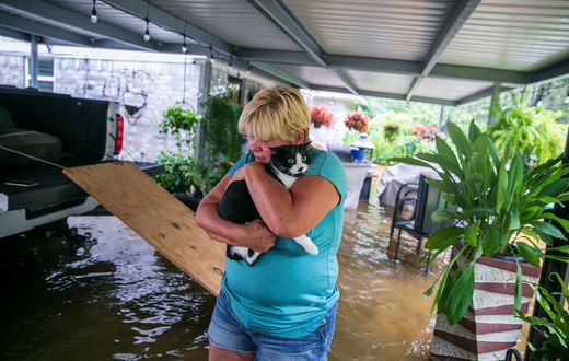 Devastation and Shock as Waters Drain Away