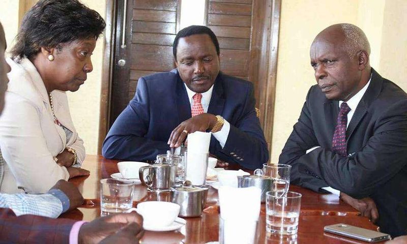 Wiper leader Kalonzo Musyoka (centre) with Charity Ngilu (left) and Kivutha Kibwana