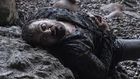 How Euron Greyjoy was impaled by Jaime's sword but still wound up smiling