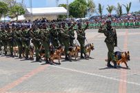 Soldiers force Mombasa residents seeking to attend Mashujaa Day fete to swim in sewerage