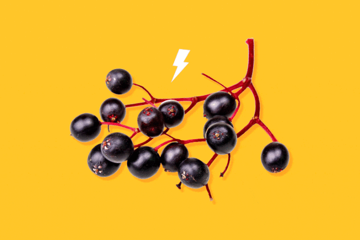Does Elderberry Extract Really Help Flu Symptoms?