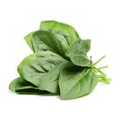 12 Best Types Of Greens And Lettuce To Add To Your Salad
