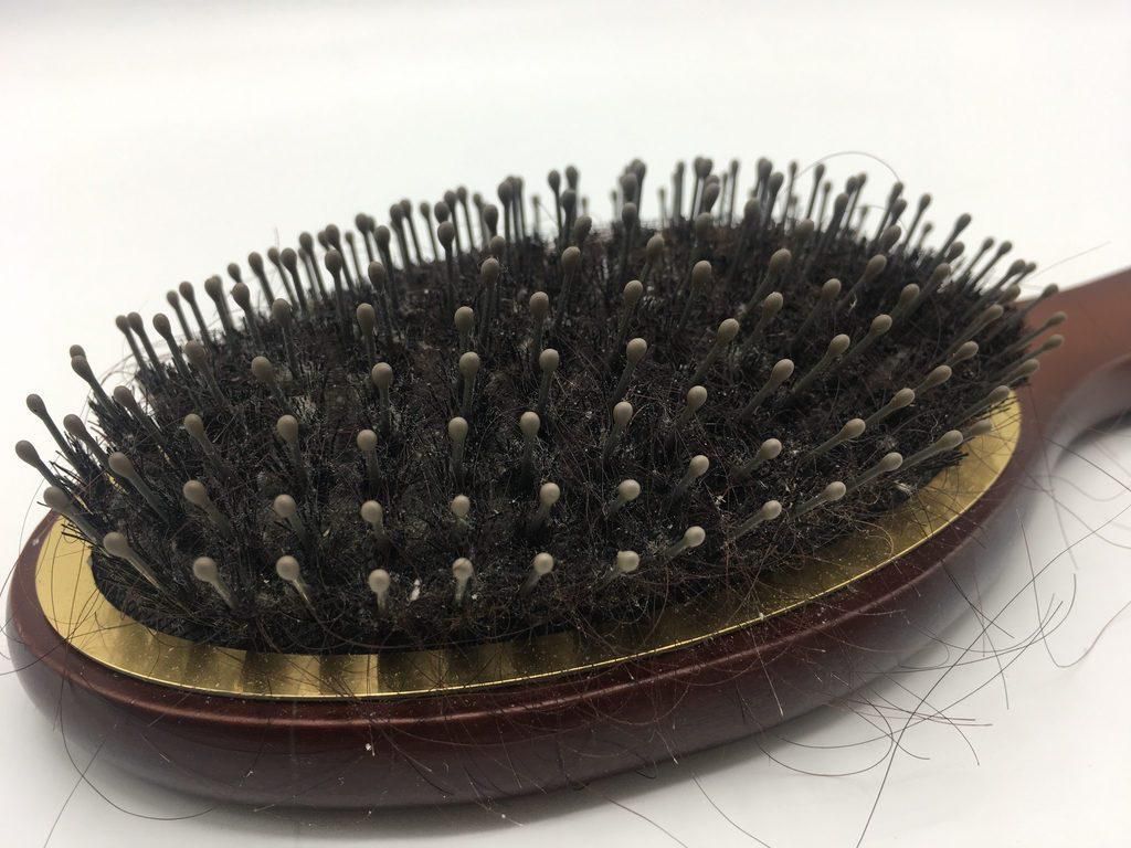 Dirty hair brush(Best Life)
