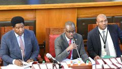 How DP William Ruto's team frustrated Raila, Uhuru allies to get Senator Ledama elected