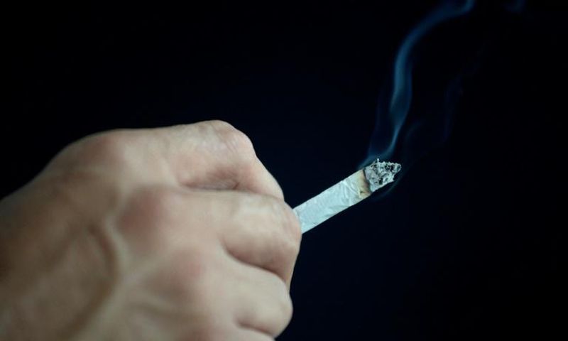 A growing number of restaurants and cafes in Austria had already banned smoking of their own accord before it was officially banned