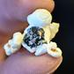 Turkish micro artist Hasan Kale paints his intricate pieces on tiny, discarded items such as a piece of popcorn