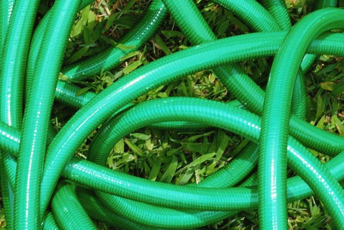 Why is My Poop Green?