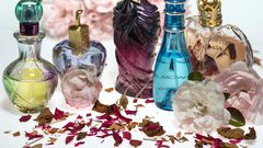 Buying best perfume (halfmba)