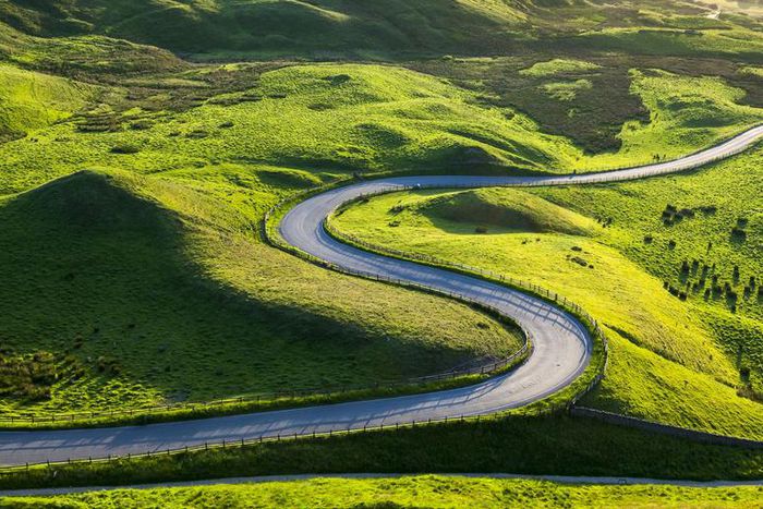 Dr. Pimple Popper Pops A Road Of Blackheads