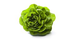 12 Best Types Of Greens And Lettuce To Add To Your Salad