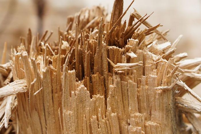 Dr. Pimple Popper Clears Cheek Of Blackheads