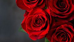 Dr. Pimple Popper Pops 'Rose' Cyst In Armpit