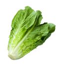 12 Best Types Of Greens And Lettuce To Add To Your Salad