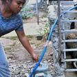 The tiny half-island nation of East Timor has said some 400 pigs died over the past two weeks