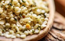7 Surprising Sources of Protein That Aren't Meat or Dairy