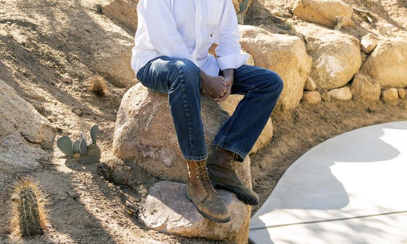 In the Desert With Jackrabbits
