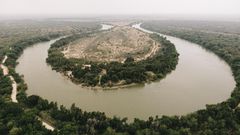 Three Children and a Woman Are Found Dead Along the Border in Texas