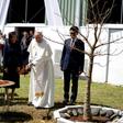 Pope Francis planted a baobab tree with Madagascar President Andry Rajoelina at the presidential palace in Antananarivo