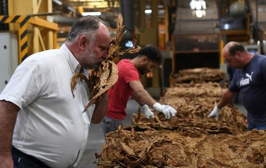 Eric Tabanou, director of the France Tabac, factory in the Dordogne region of southwest France, said keeping the country's last tobacco processing site open became unviable.