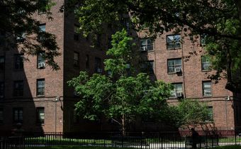 'Lighting Money on Fire' as Mold and Rats Persist in New York Public Housing
