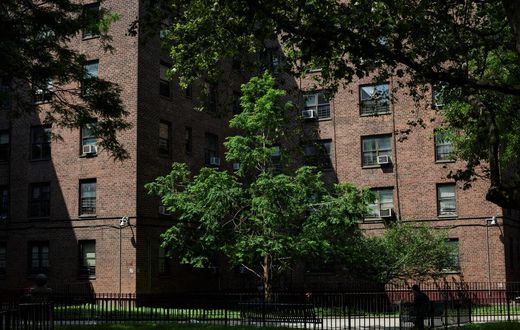 'Lighting Money on Fire' as Mold and Rats Persist in New York Public Housing