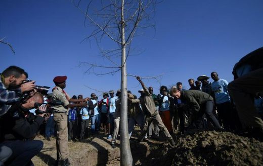 Planting for the future: Prince Harry and Botswanan schoolchildren