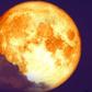 What The New Moon In Leo Means For Your Sign