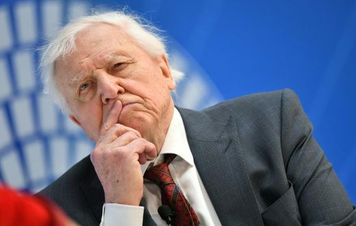 David Attenborough has criticised Australia over its coal emissions and for not giving 'a damn what it does to the rest of the world'