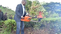 Nandi Governor Stephen Sang leading residents in cutting and uprooting tea on the disputed piece of land on 7 June 2019