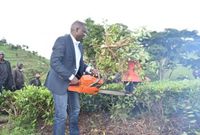 Nandi Governor Stephen Sang leading residents in cutting and uprooting tea on the disputed piece of land on 7 June 2019