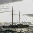Greenpeace's Rainbow Warrior was blocking a cargo of coal from being unloaded at the port of Gdansk