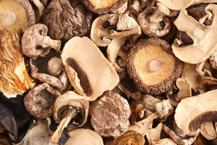 Is Mushroom Jerky Good for You?