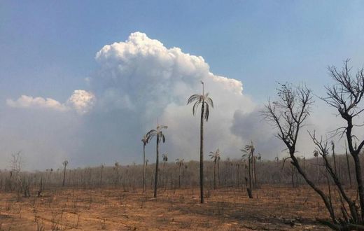 A general view of the fires in the Bolivian Amazonian area of San Jose de Chiquitos in Santa Cruz, on September 9, 2019