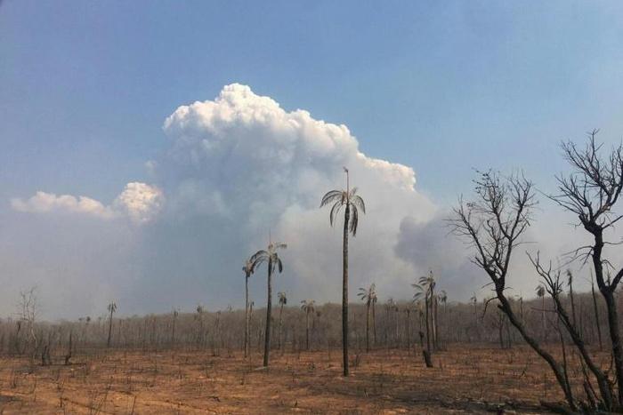 A general view of the fires in the Bolivian Amazonian area of San Jose de Chiquitos in Santa Cruz, on September 9, 2019
