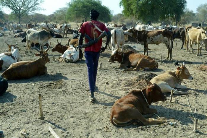 Instead of their traditional spears, cowherds now carry automatic rifles that have transformed cattle raids, a generations-old phenomenon, into massacres
