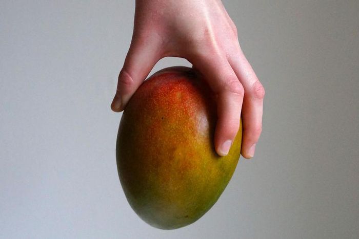 Dr. Pimple Popper Removed Mango-Sized Lipoma