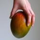 Dr. Pimple Popper Removed Mango-Sized Lipoma