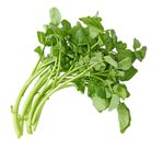 12 Best Types Of Greens And Lettuce To Add To Your Salad