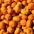 The 20 Healthiest Fall Fruits And Veggies You Should Def Eat This Year