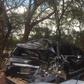 MP involved in early morning road accident