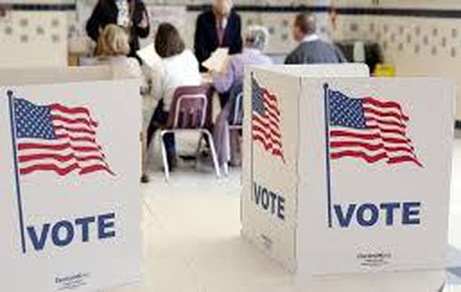 Virginia holds primary elections for legislature