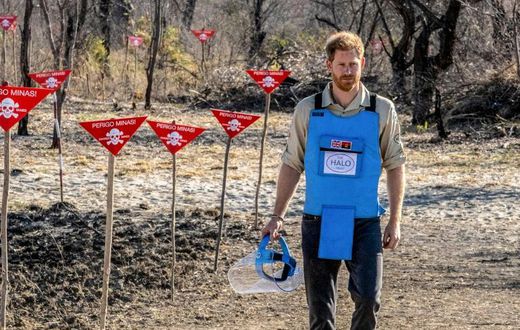 Prince Harry followed in his mother Diana's footsteps when he visited Angola to highlight their landmine-clearance programme