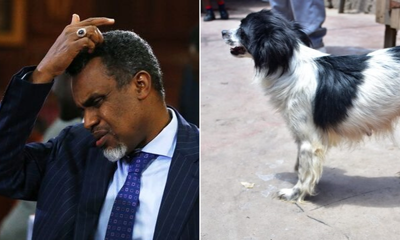 Helicopter Ministries Bishop Thomas Wahome wants DPP barred from arresting him in dog theft saga
