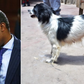 Helicopter Ministries Bishop Thomas Wahome wants DPP barred from arresting him in dog theft saga