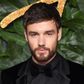 Liam Payne Reveals How Being in 1D Was Toxic