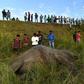 Indian villagers look at the bodies of two elephants killed after being struck by a train in 2017