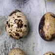 Dr. Pimple Popper Punches Out A Quail Egg Cyst