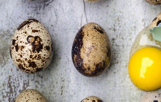 Dr. Pimple Popper Punches Out A Quail Egg Cyst
