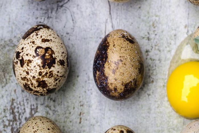 Dr. Pimple Popper Punches Out A Quail Egg Cyst